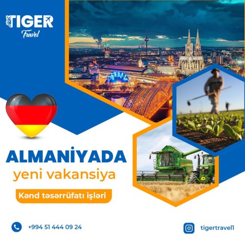 Tiger Travel, instagram dizaynları, reklam postları, vakansiya postu elanları, avropada karyera