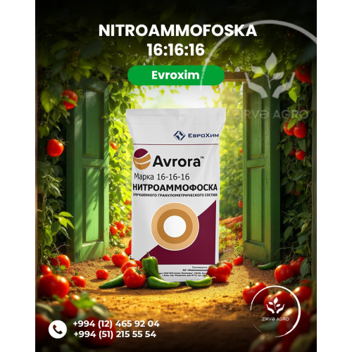 Reklam posteri, marka sosial media postu, sərfəli korporativ dizayn xidmətləri, satış elanı