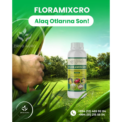 Post hazırlanması, şirket reklamları, instagram reklamları, sosial media reklamı, satış postları