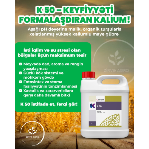 Şirkət dizaynları, şirkət reklamları, satış reklam postları, şirkətlər üçün sosial media postları