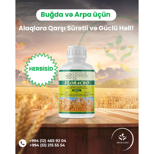 Vizual post dizayn, instagram post dizayn, gübrə postlari, kent teseruffati reklam postu