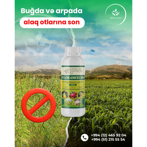 Biznes üçün sosial media dizayni, şirkət reklam postu, kreativ postlar, korporativ qrafik dizayn