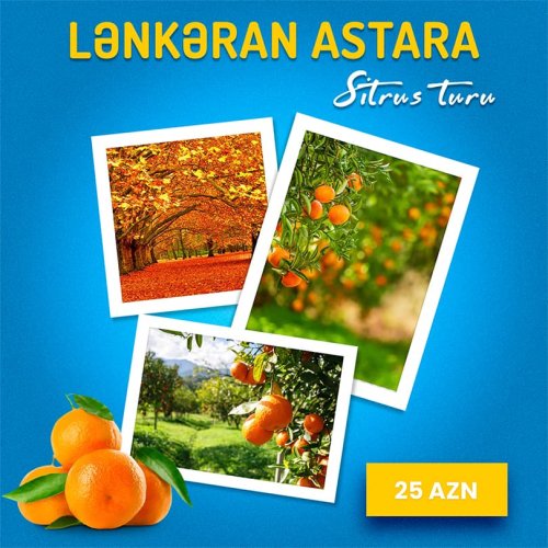 Lənkəran Astara turu, ölkədaxili tur postu, dizaynların hazırlanması, tur şirkətləri, Ayisha Travel