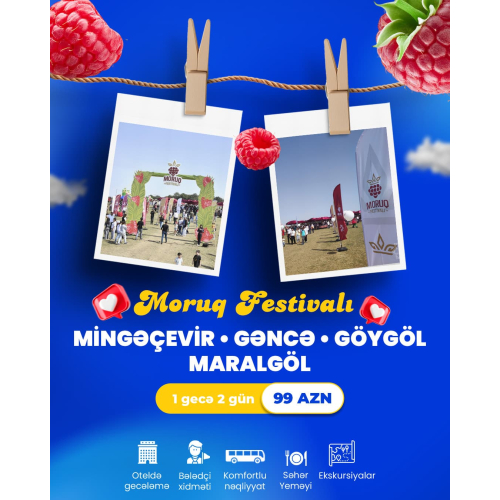 Qrafik dizayn travel, turizm şirkəti üçün sosial media dizayn, peşəkar qrafik dizayn, sərfəli dizayn xidmətləri