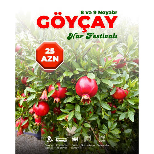 Sosial şəbəkə postları, afişalar və digər vizual işləri, tur postu sifarisi, post qiymetleri, dizayn xidmeti