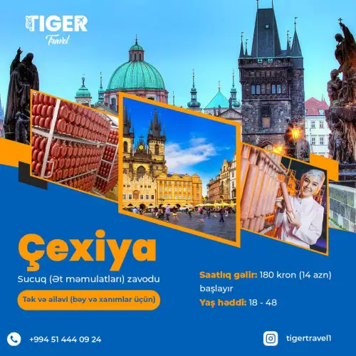 Vakansiya dizaynları, smm post dizaynları, instagram dizaynları, Tiger Travel post dizayn sifarişi